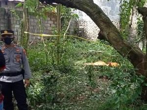 Amarah Pria Difabel Probolinggo Habisi Tetangga yang Hina Fisiknya
