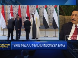 Siapkan Aturan "Family Office", Menko Luhut Belajar Sampai Abu Dhabi