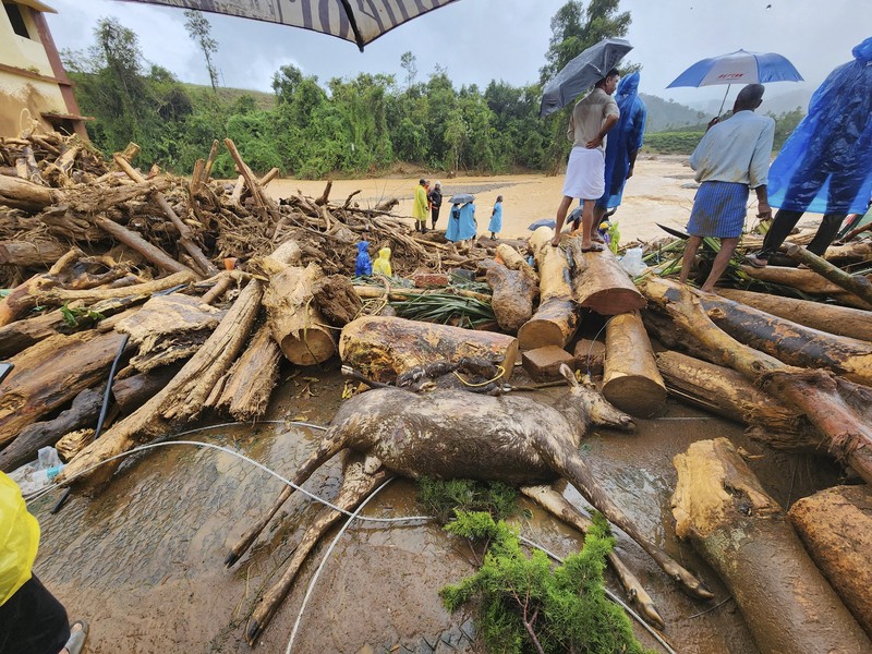 Tim penyelamat melakukan evakuasi korban longsor di perbukitan, di Wayanad, di negara bagian selatan Kerala, India, Selasa (30/7/2024). (REUTERS/Stringer)