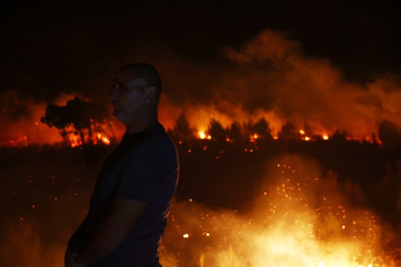 Kebakaran hutan di Shengjin, Albania, Selasa (30/7/2024). (REUTERS/Florion Goga)