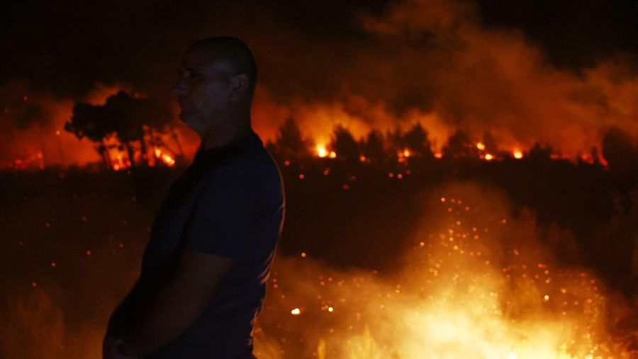 Kebakaran hutan di Shengjin, Albania, Selasa (30/7/2024). (REUTERS/Florion Goga)