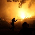 Potret Kebakaran Hutan Bak 'Lautan Api', Warga Dievakuasi
