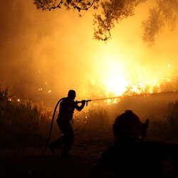 Potret Kebakaran Hutan Bak 'Lautan Api', Warga Dievakuasi