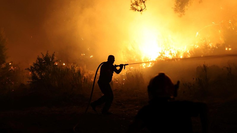 Kebakaran hutan di Shengjin, Albania, Selasa (30/7/2024). (REUTERS/Florion Goga)