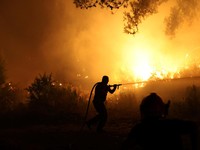 Potret Kebakaran Hutan Bak 'Lautan Api', Warga Dievakuasi