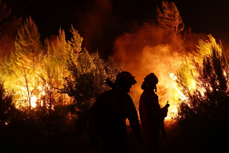Kebakaran hutan di Shengjin, Albania, Selasa (30/7/2024). (REUTERS/Florion Goga)