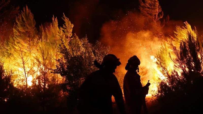 Kebakaran hutan di Shengjin, Albania, Selasa (30/7/2024). (REUTERS/Florion Goga)