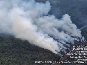 Lahan Gambut 5 Hektare di Muara Enim Terbakar