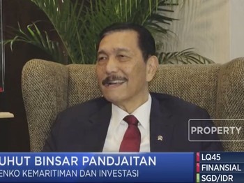 Janji Luhut: Pakai Cara Ini, RI Bakal Kebanjiran Ratusan Juta Dolar AS