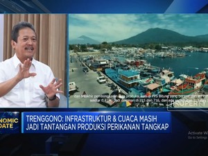 Tangkapan Nelayan Tak Sesuai Pasar, Hilirisasi Perikanan RI Terhambat?