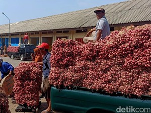 Harga Bawang Merah Terjun Bebas, Ternyata Ini Biang Keroknya