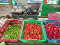 Harga Cabai Rawit Merah di Jakarta Tembus Rp90.000/Kg, Ada Apa?