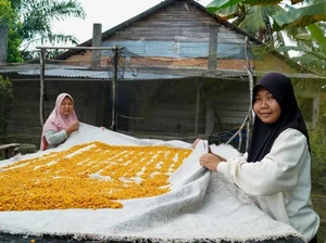 Belajar dari Fiqka, Anak Buruh yang Lolos Kedokteran Hewan UGM