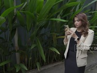 VPN Gratis Mau Diblokir di RI, Ini Alasannya!