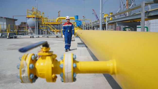 PGN Bidik Kenaikan Volume Niaga Gas 917 BBTUD di 2025