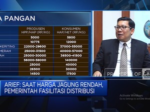 Pesan Bapanas di Pilkada: Pilih Pemimpin Yang Peduli Masalah Pangan