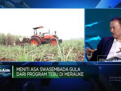 Prabowo Mau "Gas" Produksi Gula, Produsen Butuh Bibit-Mesin Canggih