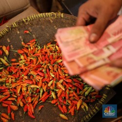 Harga Cabai Rawit Merah Menggila, di Jakarta Sudah Rp100.000/ Kg