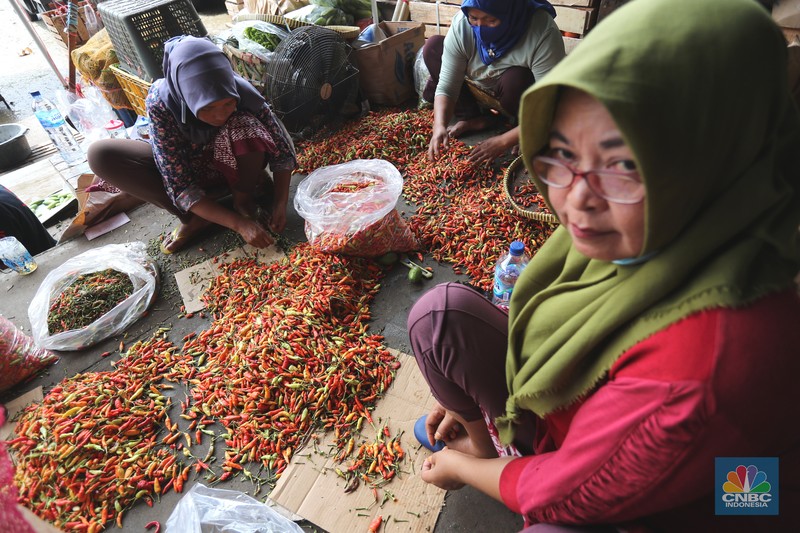 Sejumlah pekerja memilah cabai rawit merah di pasar Kramat Jati, Jakarta, Kamis (1/8/2024). Sejumlah pekerja memilah cabai rawit merah di pasar Kramat Jati, Jakarta, Kamis (1/8/2024). (CNBC Indonesia/Tri Susilo)