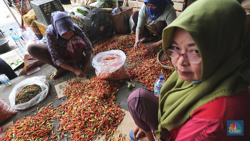 Sejumlah pekerja memilah cabai rawit merah di pasar Kramat Jati, Jakarta, Kamis (1/8/2024). (CNBC Indonesia/Tri Susilo)