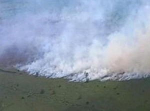 5 Daerah Sumsel Terjadi Karhutla, PALI-Muba Masih Berasap