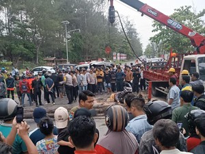 Heri Junaidi Tewas Tertimpa Pohon Tumbang di Pantai Panjang Bengkulu