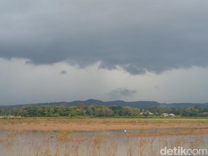 Pesona Setu Sedong, Destinasi Wisata Murmer di Cirebon