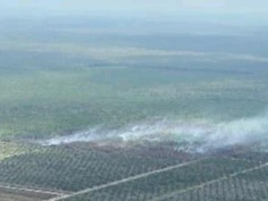 Lahan 5 Hektare di Muara Enim yang Terbakar Belum Padam