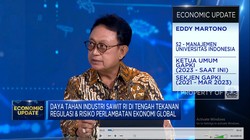 Bos Pengusaha Sawit Bongkar Sebab Anjloknya Produksi & Ekspor Sawit RI