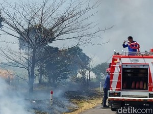 Waspada! Kemarau Rawan Kebakaran Lahan Pinggir Tol Pejagan-Pemalang