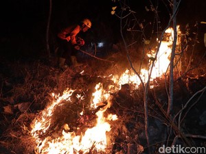 7 Hektare Lahan Hutan Jati di Gunung Gombak Ponorogo Terbakar