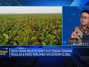 Pak Prabowo,Ini Alasan GAPKI Usul Kebun Sawit Khusus Program Biodiesel