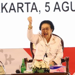 Airlangga Mundur dari Ketum Golkar, Megawati Bilang Begini