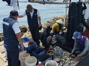 Tangkap Ikan Pakai Cantrang, 9 Kapal Nelayan Ditindak di Kepulauan Seribu