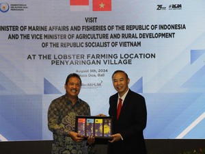 Sinergi RI-Vietnam Hasilkan Transformasi Budi Daya Lobster di Dalam Negeri