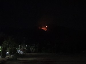 Hutan di Gunung Putuk Cupu Ponorogo Terbakar