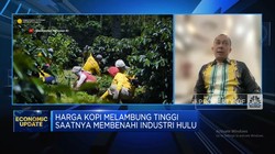 Video: Minim Bantuan Pemerintah, Petani Kopi Sulit 