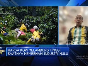 Video: Minim Bantuan Pemerintah, Petani Kopi Sulit
