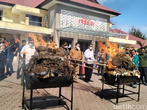 Polda Aceh Musnahkan 226 Kg Sabu dan 1,2 Ton Ganja