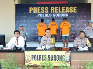 Polisi Bongkar Budi Daya Ganja di Sorong, 3 Orang Diamankan-44 Pohon Disita