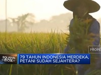 Video: 79 Tahun Indonesia Merdeka, Petani Sudah Sejahtera?