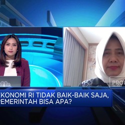 Deretan Data Ekonomi Tunjukkan Pelemahan, Alarm Bahaya Menyala?