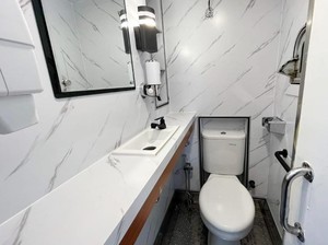 Kenapa WC Duduk Punya 2 Tombol Flush? Ini Jawabannya