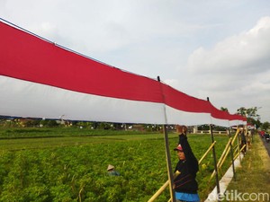 HUT RI, Warga Kokosan Klaten Pasang Merah Putih Panjang 325 Meter Sebulan Penuh