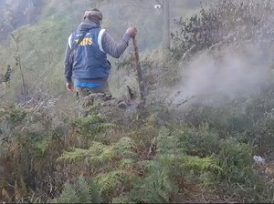 Hutan Bukit Kingkong Kawasan Bromo Terbakar