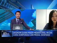 Fitch Bongkar Cara Korporasi Cari Modal Ekspansi Saat Dunia Bergejolak
