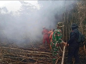 Empat Wilayah di Sumsel Masih Terjadi Karhutla, Ini Sebarannya