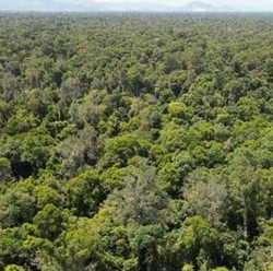 Pemuda 17 Tahun Ajak Generari Muda Peduli Lingkungan Lewat Ini