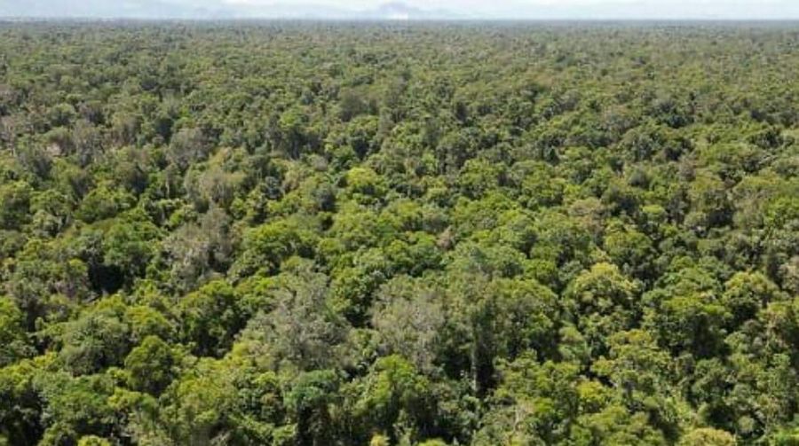 Menteri LingkunganKementerian Lingkungan Hidup dan Kehutanan Hidup dan Kehutanan Siti Nurbaya menegaskan bahwa lebih dari 95% dari Suaka Margasatwa Rawa Singkil (SMRS) yang luasnya lebih dari 82 ribu hektar di Aceh – masih dalam kondisi utuh. (Dok. Kementerian Lingkungan Hidup dan Kehutanan)