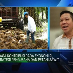 Pengusaha Mengeluh Banyak Aturan Hambat Industri Sawit, Ini Sebabnya!